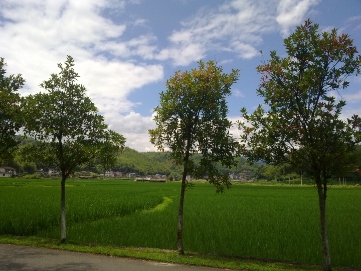 貼一點我家鄉的相片給大家看看。