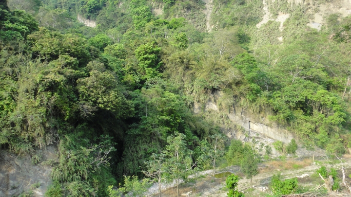 「神鵝瞎旅」霧峰山南山北走一回 之北段 下集[發現桐林村之美]
