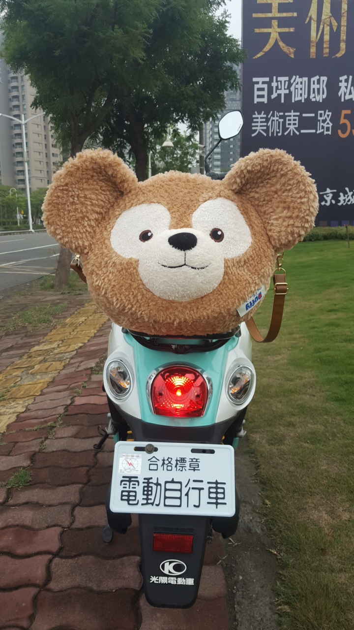 [開箱] MINT電動自行車 (我的小綠綠)