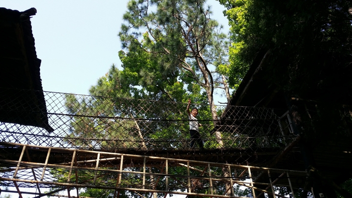 第六次車床旅遊-東勢林場體能訓練與賞螢