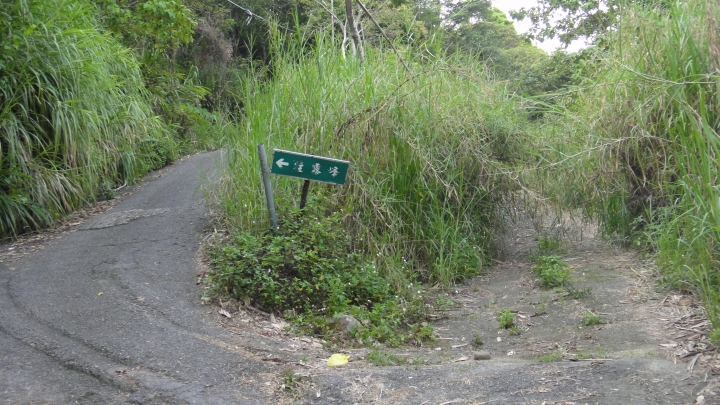 「神鵝瞎旅」霧峰山南山北走一回 之北段 下集[發現桐林村之美]