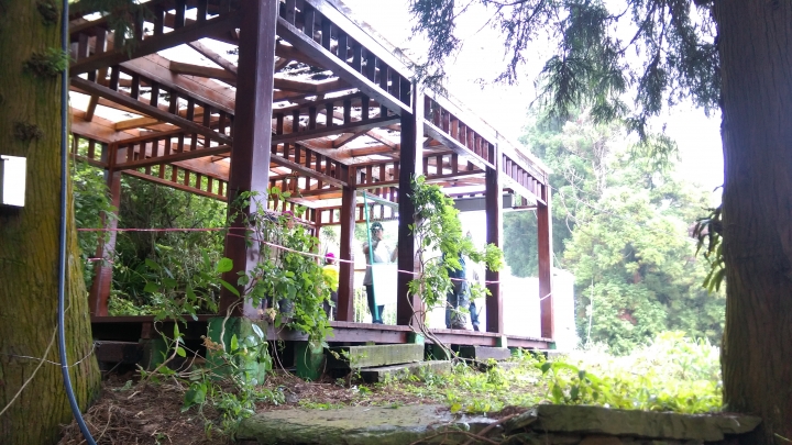 清境  高空步道  賞景遊
