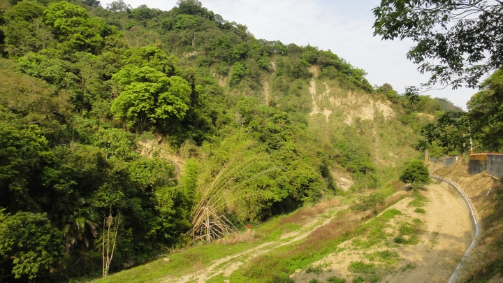 「神鵝瞎旅」霧峰山南山北走一回 之北段 下集[發現桐林村之美]