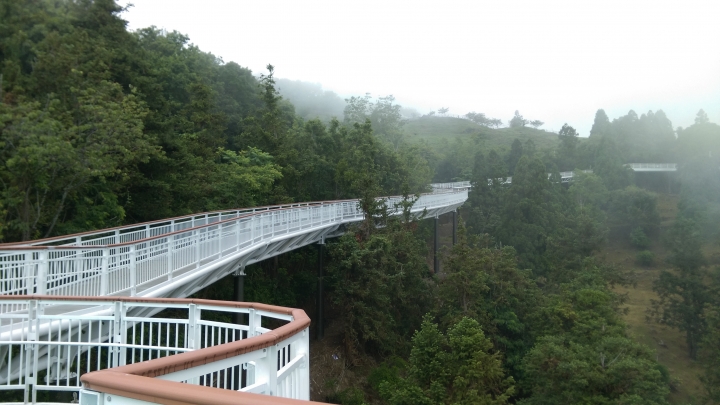 清境  高空步道  賞景遊
