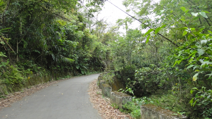 「神鵝瞎旅」霧峰山南山北走一回 之北段 下集[發現桐林村之美]