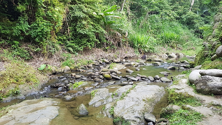 S8+ 變裝 隨手拍 小小心得分享