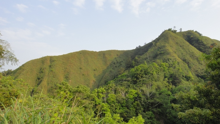 「神鵝瞎旅」霧峰山南山北走一回 之北段 下集[發現桐林村之美]