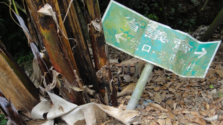 「神鵝瞎旅」霧峰山南山北走一回 之北段 下集[發現桐林村之美]