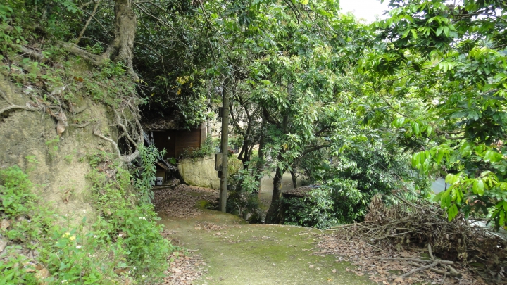 「神鵝瞎旅」霧峰山南山北走一回 之北段 上集 [蟲、魚、鱉、鳥的自然生態之旅]