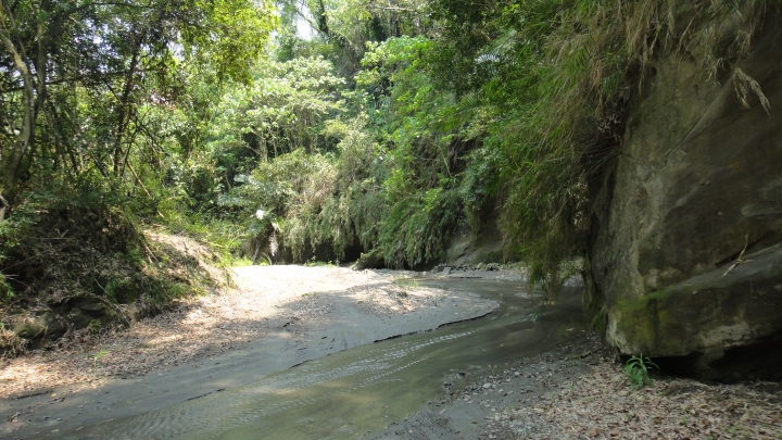 「神鵝瞎旅」霧峰山南山北走一回 之 南段 上集[往條子杯杯打槍的地方走]
