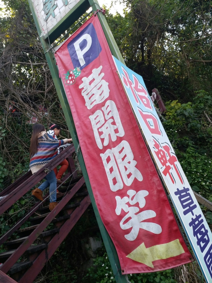 復古MARCH：VERITA，2017苗栗棗莊、七股莓開眼笑草莓園車聚