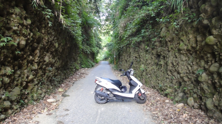 「神鵝瞎旅」霧峰山南山北走一回 之北段 下集[發現桐林村之美]