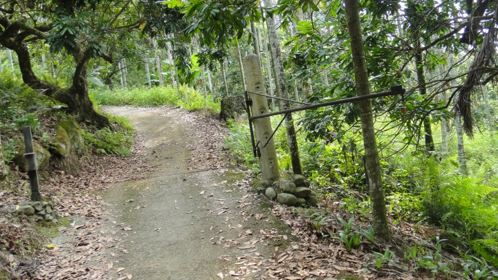 「神鵝瞎旅」霧峰山南山北走一回 之北段 下集[發現桐林村之美]