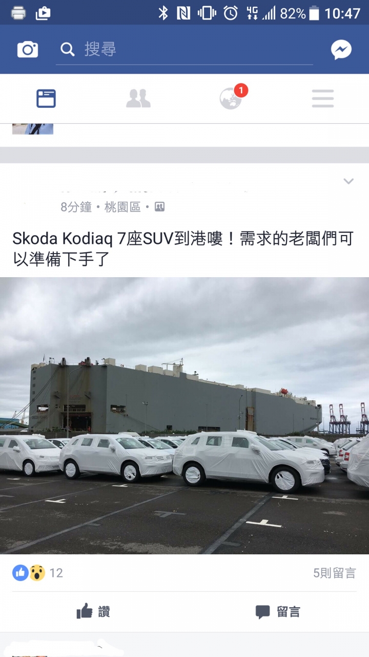 棕熊真的來了？