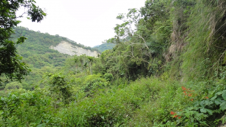 「神鵝瞎旅」霧峰山南山北走一回 之北段 下集[發現桐林村之美]