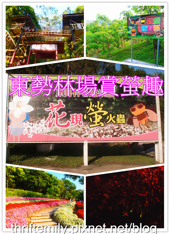 【台中旅遊】2017東勢林場花現螢火蟲+豐原廟東夜市精華小吃推薦