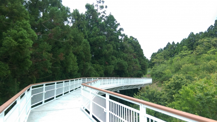 清境  高空步道  賞景遊