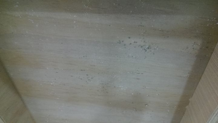 潮濕剋星,EUBee塑鋼床架