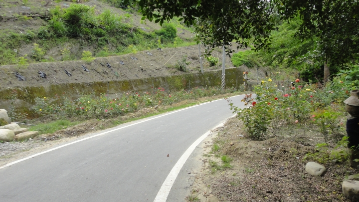 「神鵝瞎旅」霧峰山南山北走一回 之北段 下集[發現桐林村之美]