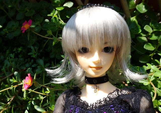 【BJD】收藏的娃兒們 -- 內含大量人型照喔，不喜勿入>///< 不定時更新中XD
