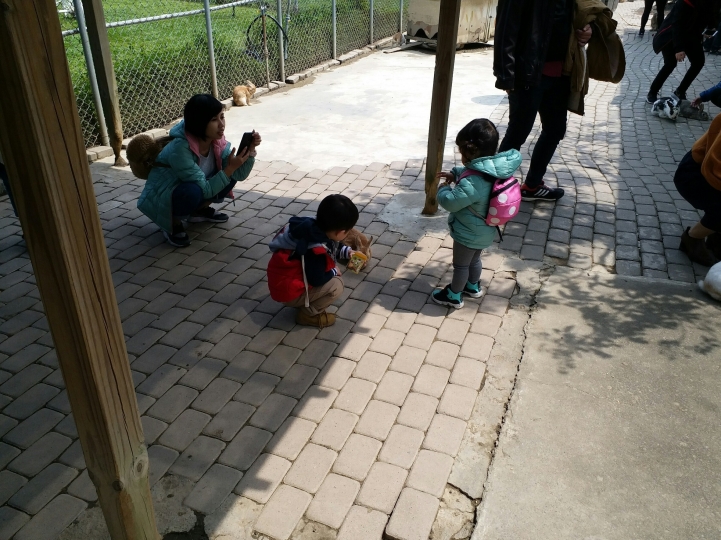 復古MARCH：VERITA，2017苗栗棗莊、七股莓開眼笑草莓園車聚