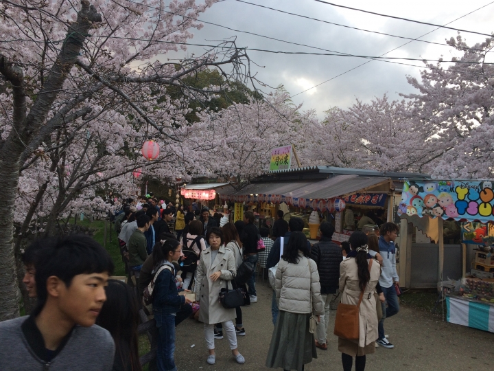 2017年日本三重縣津市津偕楽公園まつり