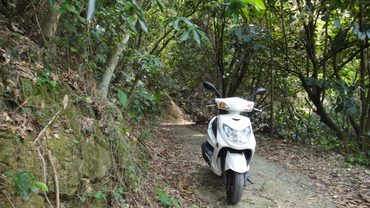 「神鵝瞎旅」霧峰山南山北走一回 之北段 下集[發現桐林村之美]