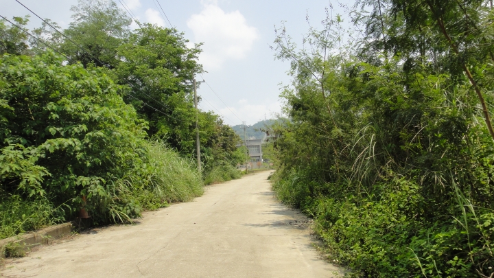 「神鵝瞎旅」霧峰山南山北走一回 之 南段 上集[往條子杯杯打槍的地方走]