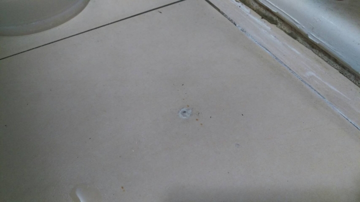 請益 : 浴室地板上出現的不名的突出小孔
