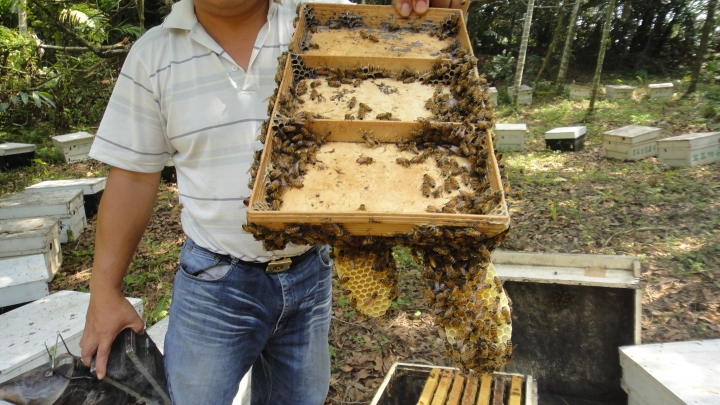 「神鵝瞎旅」霧峰山南山北走一回 之北段 上集 [蟲、魚、鱉、鳥的自然生態之旅]