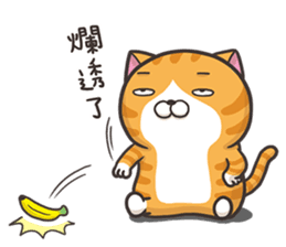 天殺的～～～～剛剛我還以為 01 倒了耶！！！