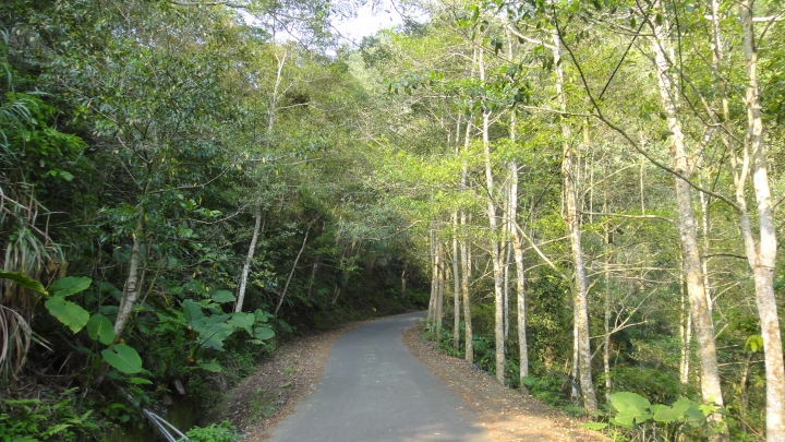 「神鵝瞎旅」霧峰山南山北走一回 之北段 下集[發現桐林村之美]