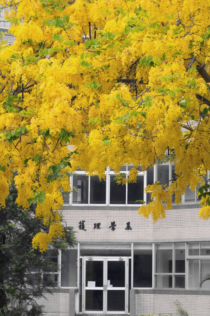 JuJuジュジュ