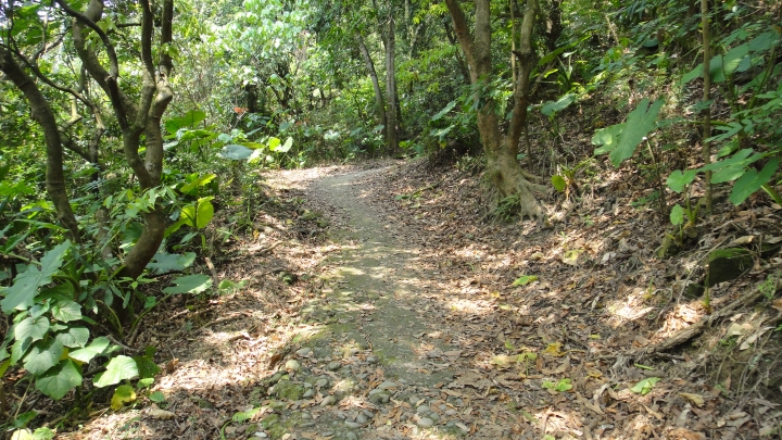 「神鵝瞎旅」霧峰山南山北走一回 之北段 下集[發現桐林村之美]