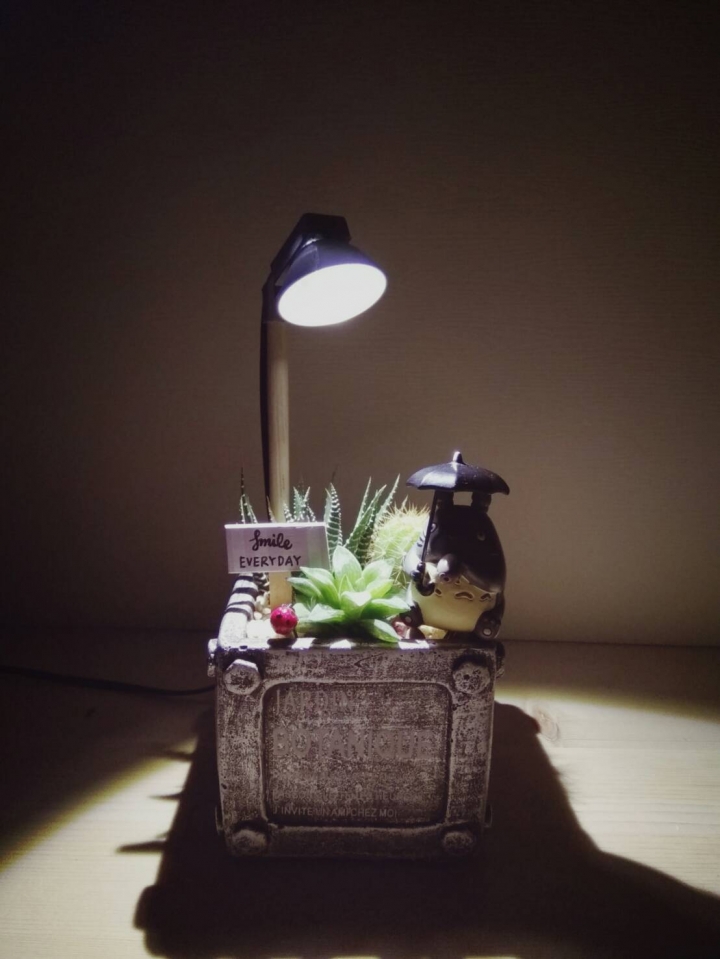 我的辦公室小夜燈. 多肉控不專業分享