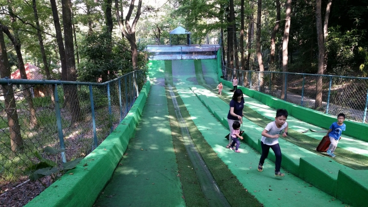 第六次車床旅遊-東勢林場體能訓練與賞螢