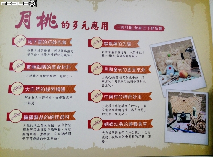 嘉義市月桃故事館5月6號
