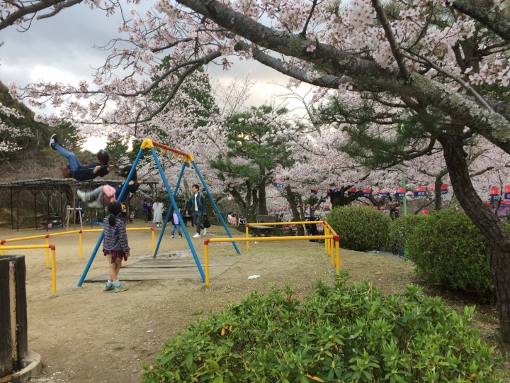 2017年日本三重縣津市津偕楽公園まつり