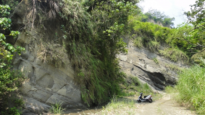 「神鵝瞎旅」霧峰山南山北走一回 之 南段 上集[往條子杯杯打槍的地方走]