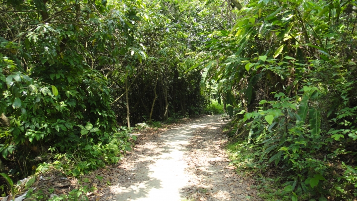 「神鵝瞎旅」霧峰山南山北走一回 之北段 上集 [蟲、魚、鱉、鳥的自然生態之旅]