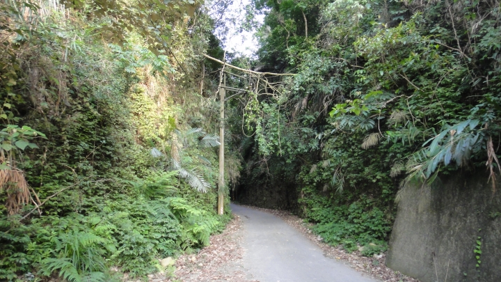 「神鵝瞎旅」霧峰山南山北走一回 之北段 下集[發現桐林村之美]