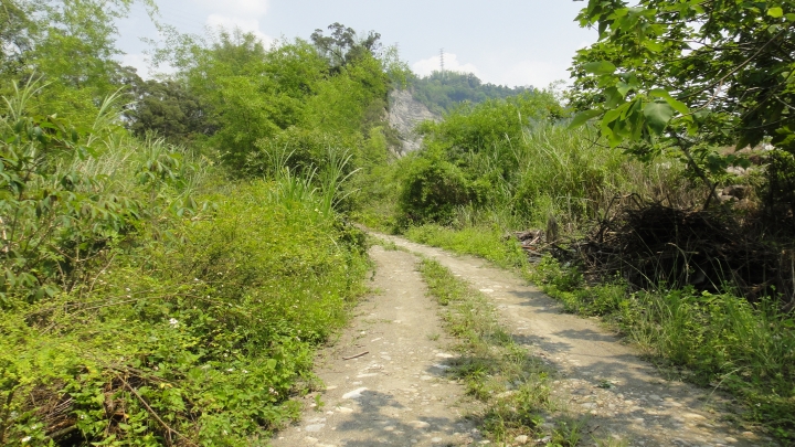 「神鵝瞎旅」霧峰山南山北走一回 之 南段 上集[往條子杯杯打槍的地方走]