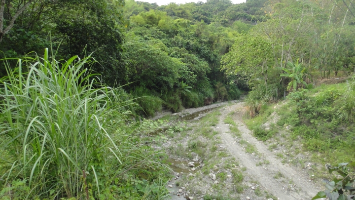 「神鵝瞎旅」霧峰山南山北走一回 之北段 下集[發現桐林村之美]