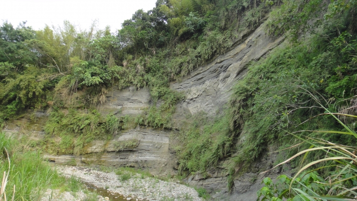 「神鵝瞎旅」霧峰山南山北走一回 之北段 下集[發現桐林村之美]