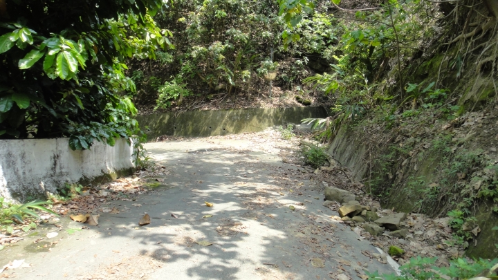 「神鵝瞎旅」霧峰山南山北走一回 之北段 上集 [蟲、魚、鱉、鳥的自然生態之旅]