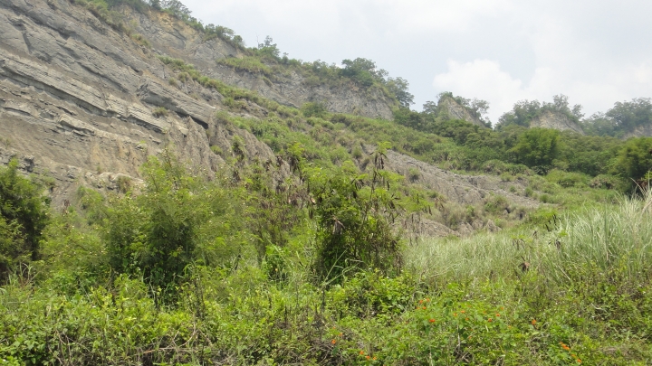 「神鵝瞎旅」霧峰山南山北走一回 之 南段 上集[往條子杯杯打槍的地方走]