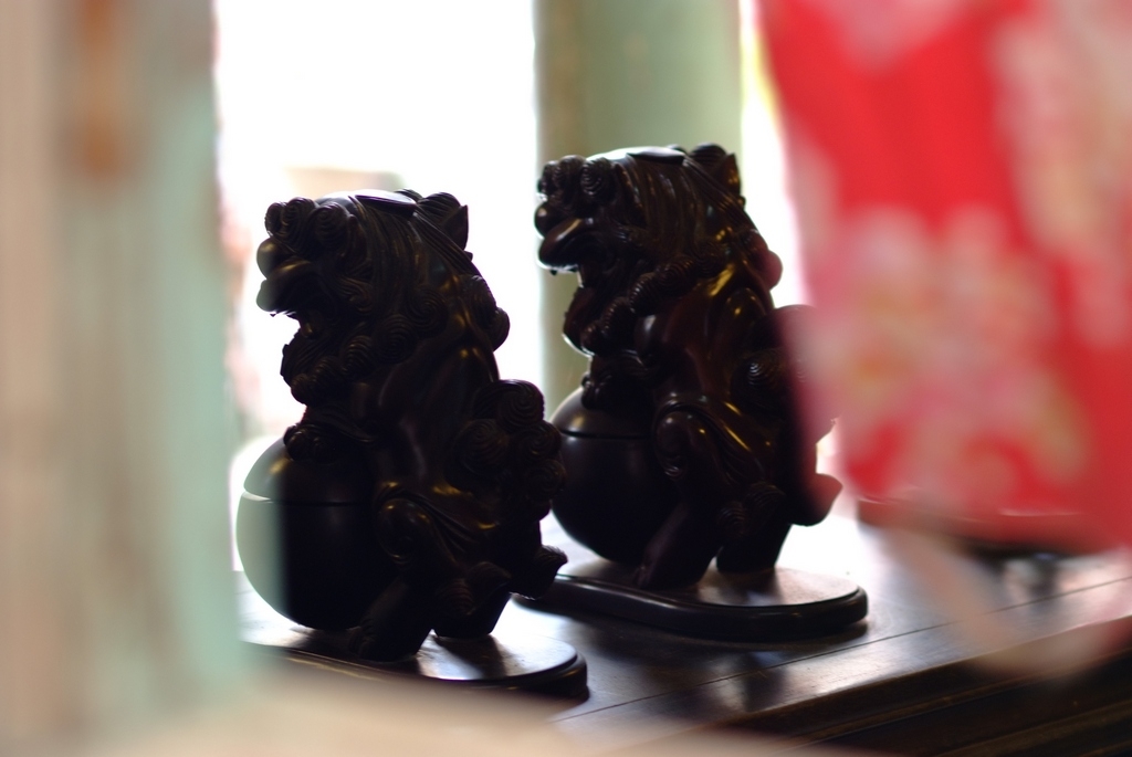 防潮箱裡的S5 Pro曬太陽