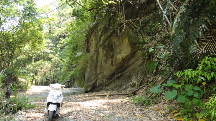 「神鵝瞎旅」霧峰山南山北走一回 之 南段 上集[往條子杯杯打槍的地方走]