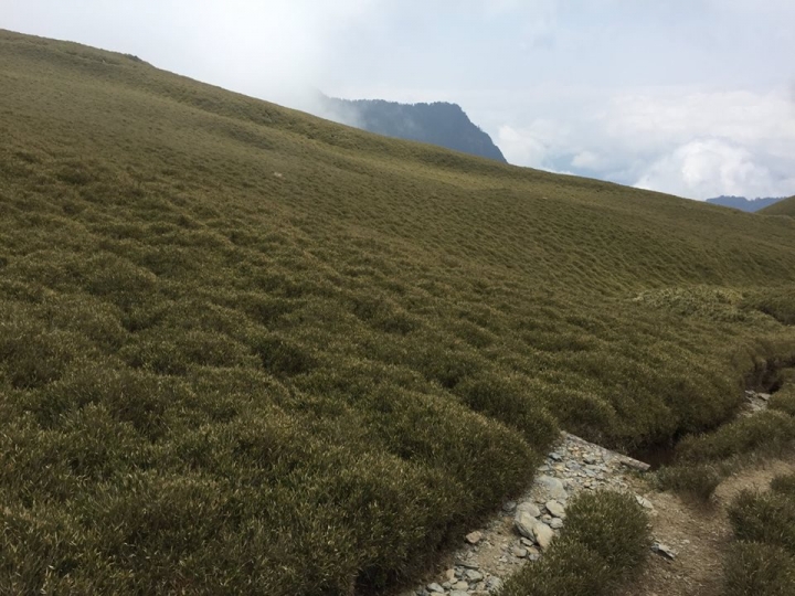 1060508 單攻奇萊南峰