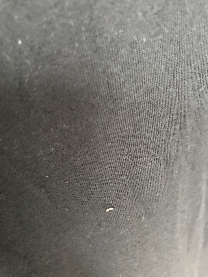 請問這是什麼蟲？